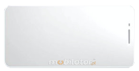 Chainway C63 battery additional pistol