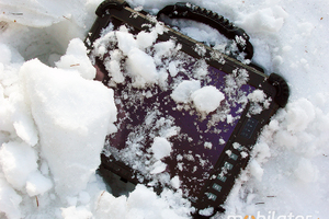 Industrial Winmate R12IS8M-RTM7GP