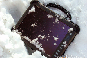 Industrial Winmate R12IS8M-RTM7GP