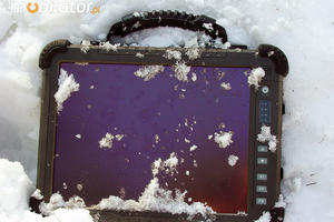 Industrial Winmate R12IS8M-RTM7GP