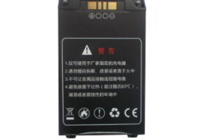 Smartpeak C300SP - Additional battery