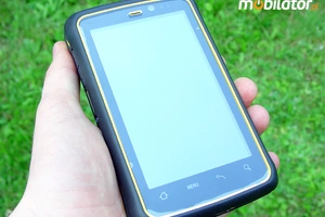 Przemysłowy Winmate E430RM4