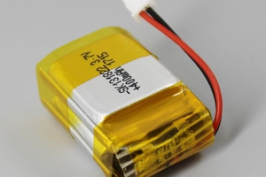 Fingering FS1D/2D -Alar - Additional battery