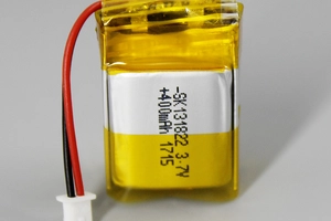 Fingering FS1D/2D -Alar - Additional battery