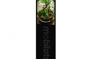 HyperView 32 v.2 - Advertising panel, with a 32-inch touch screen, with wifi and bluetooth (Android 7.1)