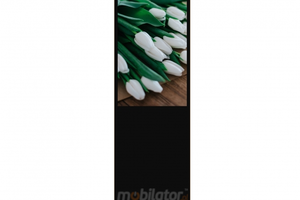 HyperView 43 v.5 - Advertising panel with a 43-inch screen (infrared touch), with wifi, Android 7.1 and 4G