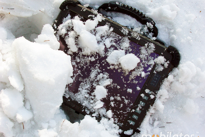 Industrial Winmate R12IS8M-RTM7GP