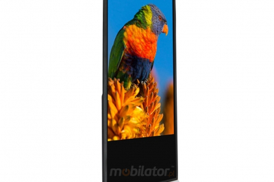 Wyświetlacz Digital Signage do restauracji