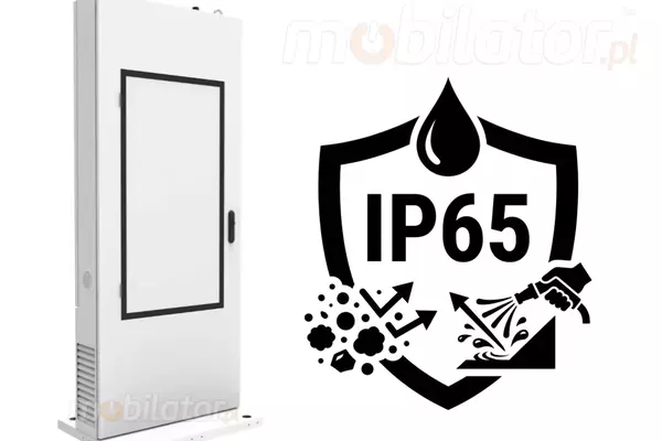 Reliability in Extreme Conditions: Advanced Multimedia Totems for Special Purposes