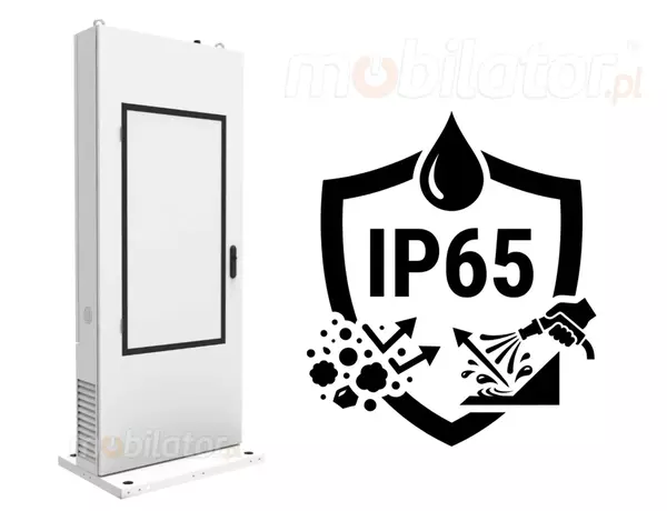 Reliability in Extreme Conditions: Advanced Multimedia Totems for Special Purposes