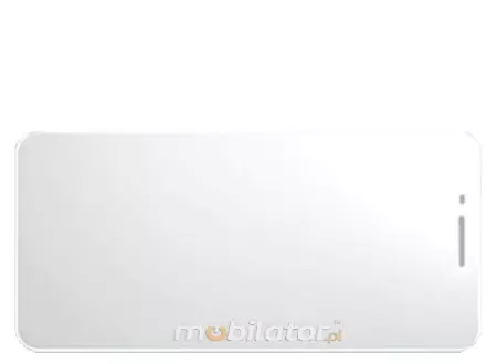 Chainway C63 - Szkło ochronne