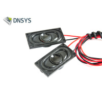 DNSYS - 2 x Speakers