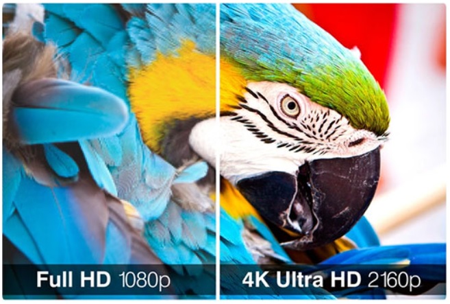 NoMobi Trex 65 cali Windows Full HD - 4K Ultra HD wywietlacz rozdzielczo totem 