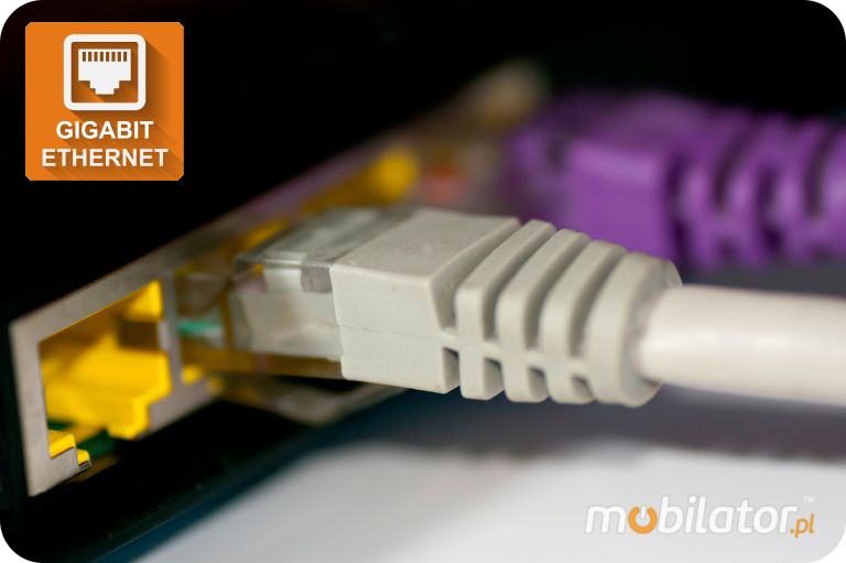 karta sieciowa Realtek wspomaga mBOX Q838GE w sieci Gigabit Ethernet