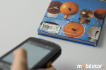 Przemysowy Kolektor Danych MobiPad H9 v.17 - zdjcie 7