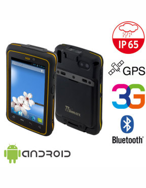 Przemysowy Winmate E430RM4