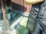 Tablet przemysowy i-Mobile IB-10 High v.18 - zdjcie 124